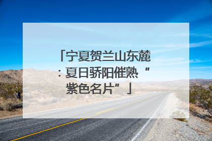 宁夏贺兰山东麓：夏日骄阳催熟“紫色名片”