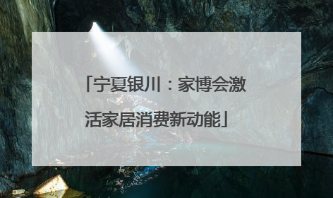 宁夏银川：家博会激活家居消费新动能
