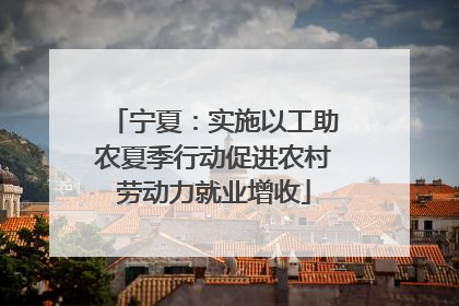 宁夏：实施以工助农夏季行动促进农村劳动力就业增收