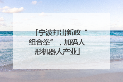 宁波打出新政“组合拳”，加码人形机器人产业