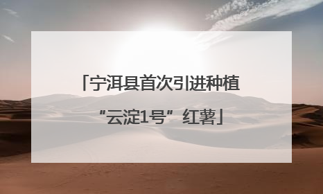 宁洱县首次引进种植“云淀1号”红薯