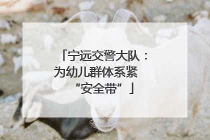 宁远交警大队：为幼儿群体系紧 “安全带”