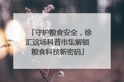 守护粮食安全，徐汇这场科普市集解锁粮食科技新密码