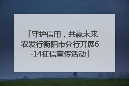 守护信用，共赢未来 农发行衡阳市分行开展6·14征信宣传活动