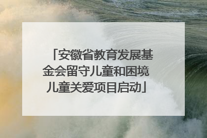 安徽省教育发展基金会留守儿童和困境儿童关爱项目启动