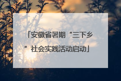 安徽省暑期“三下乡”社会实践活动启动