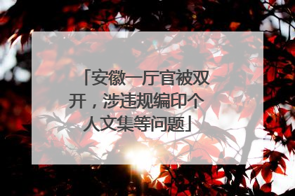 安徽一厅官被双开，涉违规编印个人文集等问题
