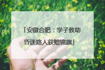 安徽合肥：学子救助昏迷路人获赠锦旗