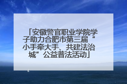 安徽警官职业学院学子助力合肥市第三届“小手牵大手、共建法治城”公益普法活动