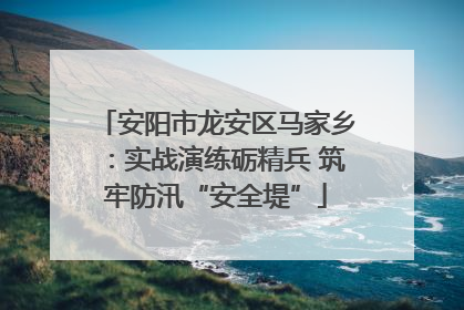 安阳市龙安区马家乡：实战演练砺精兵 筑牢防汛“安全堤”