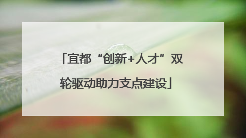 宜都“创新+人才”双轮驱动助力支点建设
