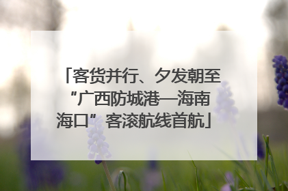 客货并行、夕发朝至 “广西防城港—海南海口”客滚航线首航