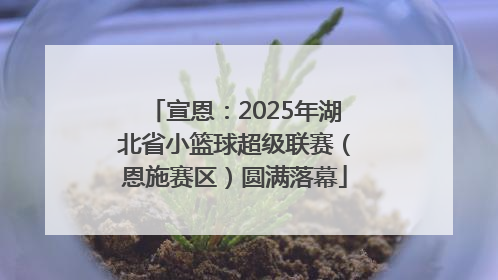 宣恩：2025年湖北省小篮球超级联赛（恩施赛区）圆满落幕