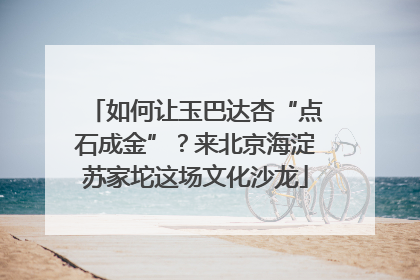 如何让玉巴达杏“点石成金”？来北京海淀苏家坨这场文化沙龙