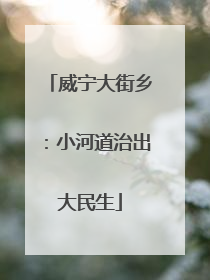 威宁大街乡：小河道治出大民生