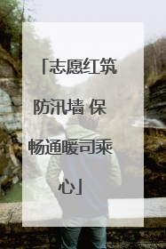 志愿红筑防汛墙 保畅通暖司乘心