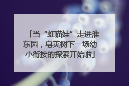 当“虹猫娃”走进淮东园，皂荚树下一场幼小衔接的探索开始啦