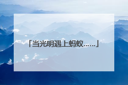 当光明遇上蚂蚁……