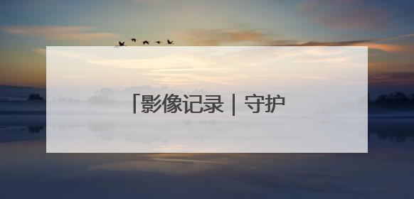 影像记录｜守护“海底草原”