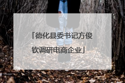 德化县委书记方俊钦调研电商企业