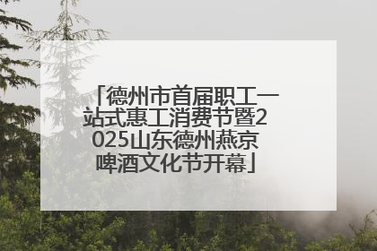 德州市首届职工一站式惠工消费节暨2025山东德州燕京啤酒文化节开幕