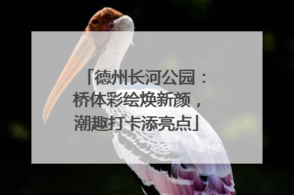 德州长河公园：桥体彩绘焕新颜，潮趣打卡添亮点
