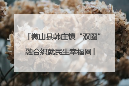 微山县韩庄镇“双圈”融合织就民生幸福网