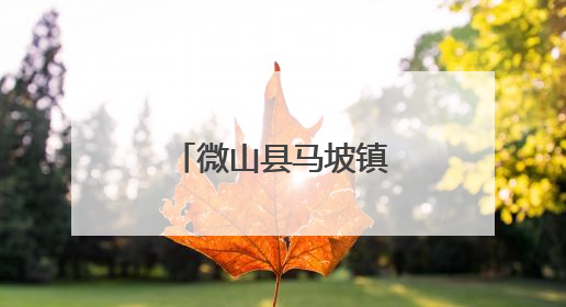 微山县马坡镇开展托育服务集中宣传活动