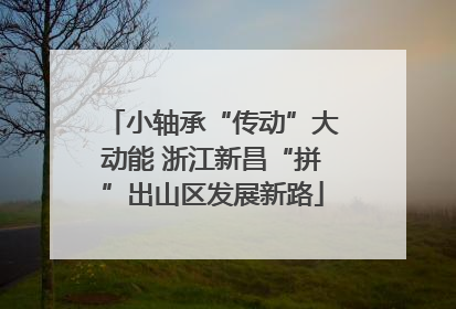 小轴承“传动”大动能 浙江新昌“拼”出山区发展新路