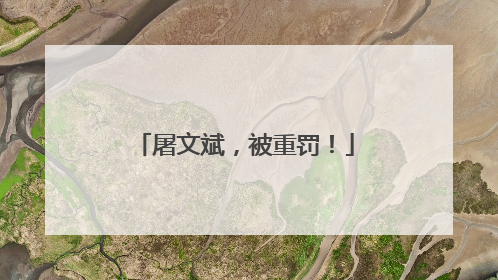 屠文斌，被重罚！