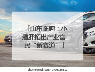 山东临朐：小鹅肝拓出产业富民“新赛道”