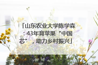 山东农业大学陈学森：43年育苹果“中国芯”，助力乡村振兴