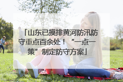 山东已摸排黄河防汛防守重点百余处！“一点一策”制定防守方案