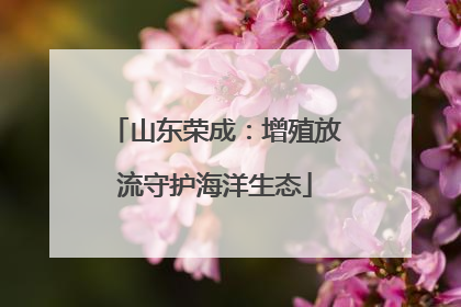山东荣成：增殖放流守护海洋生态