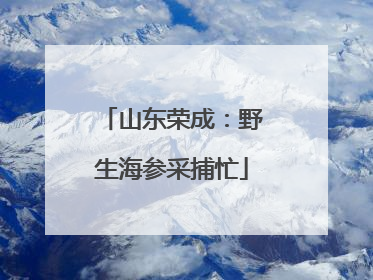 山东荣成：野生海参采捕忙