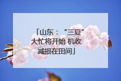 山东：“三夏”大忙将开始 机收减损在田间