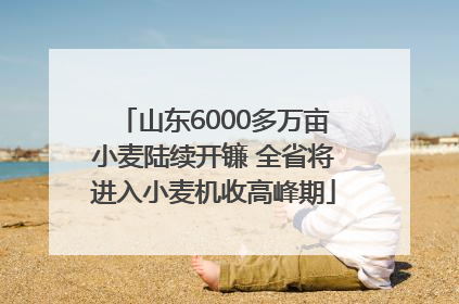 山东6000多万亩小麦陆续开镰 全省将进入小麦机收高峰期