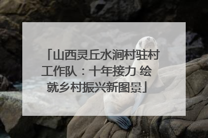 山西灵丘水涧村驻村工作队：十年接力 绘就乡村振兴新图景