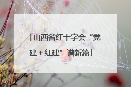 山西省红十字会“党建＋红建”谱新篇
