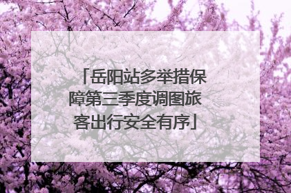 岳阳站多举措保障第三季度调图旅客出行安全有序