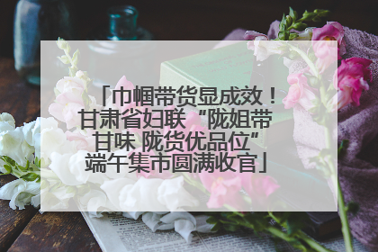 巾帼带货显成效！甘肃省妇联“陇姐带甘味 陇货优品位”端午集市圆满收官
