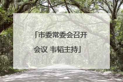 市委常委会召开会议 韦韬主持