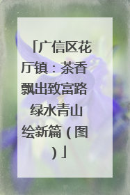 广信区花厅镇：茶香飘出致富路 绿水青山绘新篇（图）