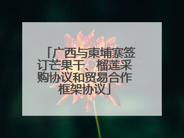 广西与柬埔寨签订芒果干、榴莲采购协议和贸易合作框架协议
