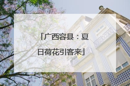 广西容县：夏日荷花引客来