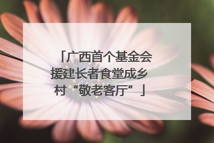 广西首个基金会援建长者食堂成乡村“敬老客厅”