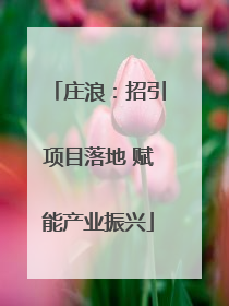庄浪：招引项目落地 赋能产业振兴
