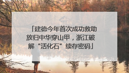 建德今年首次成功救助放归中华穿山甲，浙江破解“活化石”续存密码