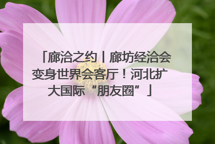 廊洽之约丨廊坊经洽会变身世界会客厅！河北扩大国际“朋友圈”