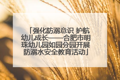 强化防溺意识 护航幼儿成长——合肥市明珠幼儿园如园分园开展防溺水安全教育活动